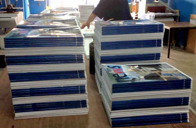 Graficas Loyse Taller