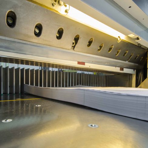 Graficas Loyse Guillotina