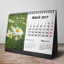 Graficas Loyse calendarios